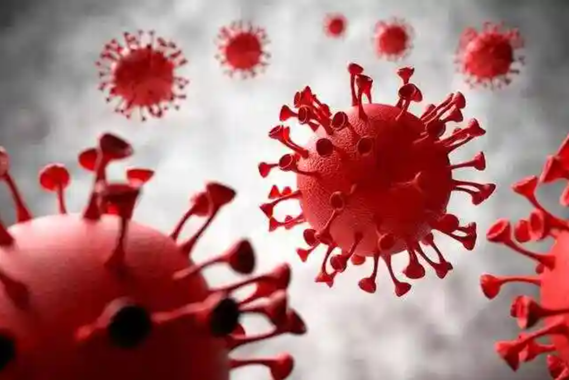 QQ截圖20241112193454